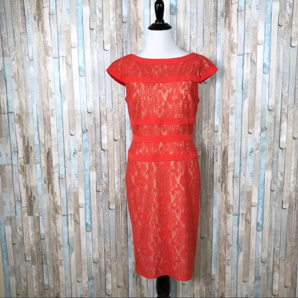 Adrianna Papell 8 Bright‎ Lace Piped Sheath Dress